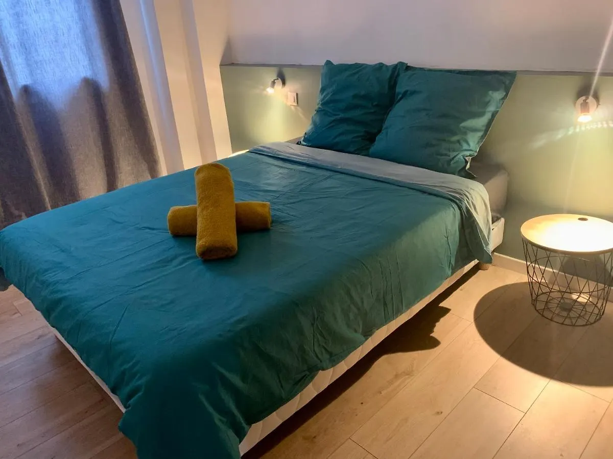 SPACIEUX APPARTEMMENT LUMINEUX Cœur De Ville Pamiers Appartement